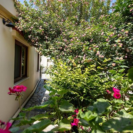 Elisavet'S House Villa ปลาเตเนียส ภายนอก รูปภาพ