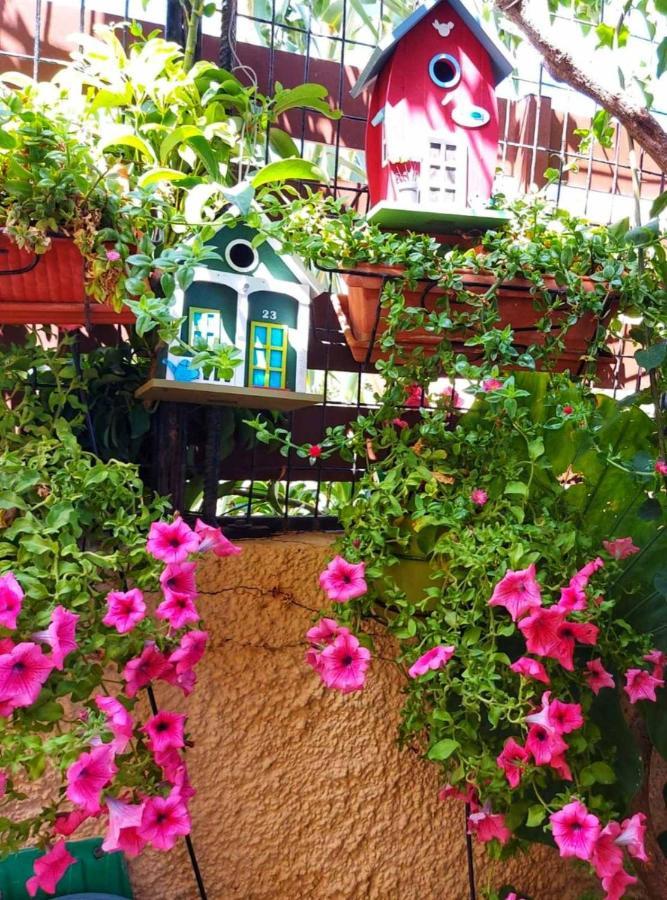 Elisavet'S House Villa ปลาเตเนียส ภายนอก รูปภาพ