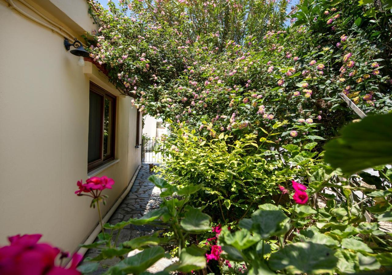 Elisavet'S House Villa ปลาเตเนียส ภายนอก รูปภาพ